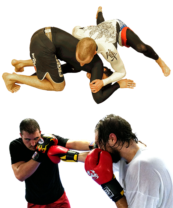 Taiboxen mit Thorsten Schwarz Taiboxen mit Thorsten Schwarz